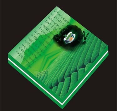 福建印刷行業(yè)的領(lǐng)軍者 從區(qū)域標(biāo)桿到技術(shù)創(chuàng)新